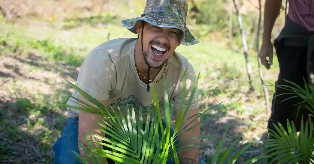 Agrofloresta para carbono