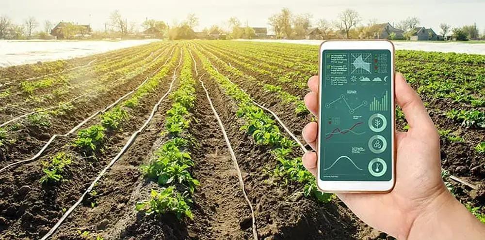 Automação no agronegócio