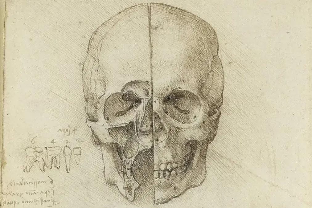 Estudos anatômicos de Da Vinci
