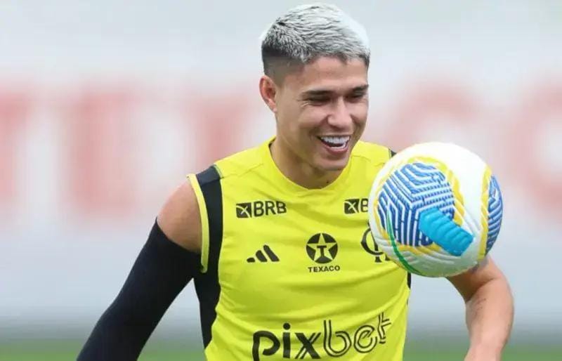 Luiz Araújo no Flamengo