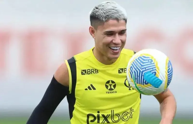 Luiz Araújo no Flamengo