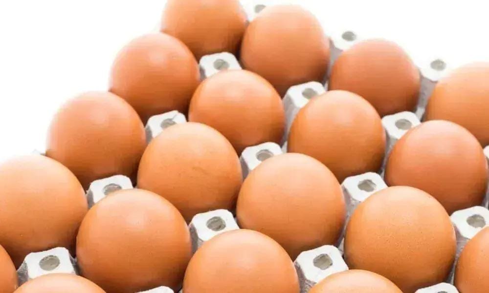 Nova regra ovos ES