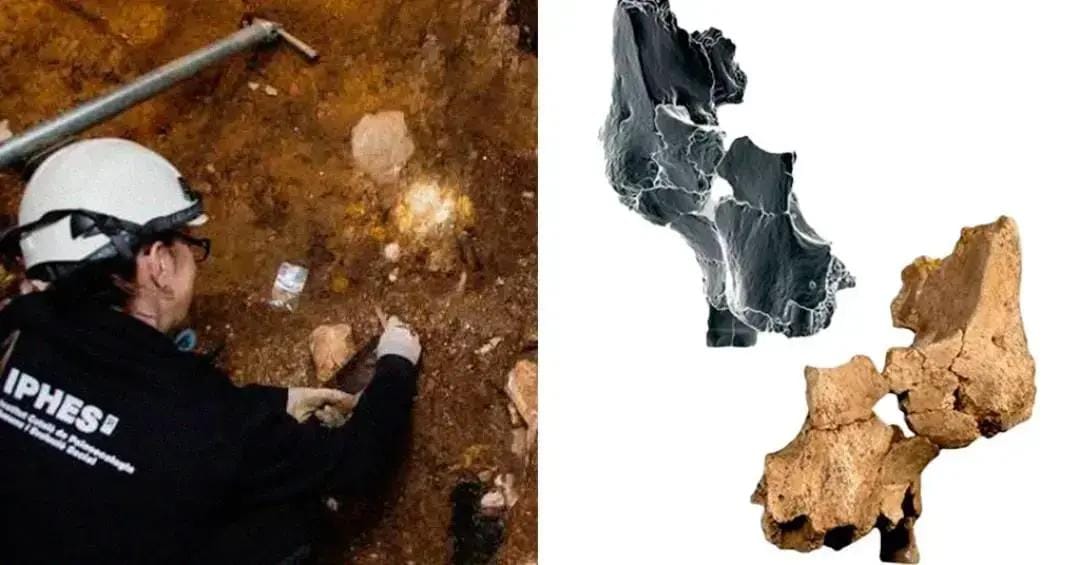 Ancestral humano na Espanha
