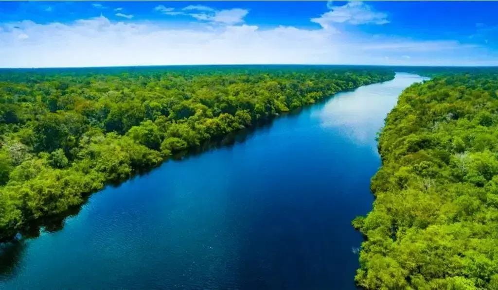 Bioeconomia na Amazônia