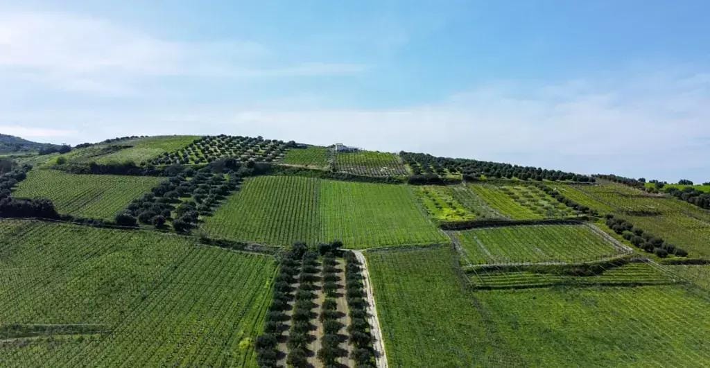 FIDC Agro de R$ 200 milhões