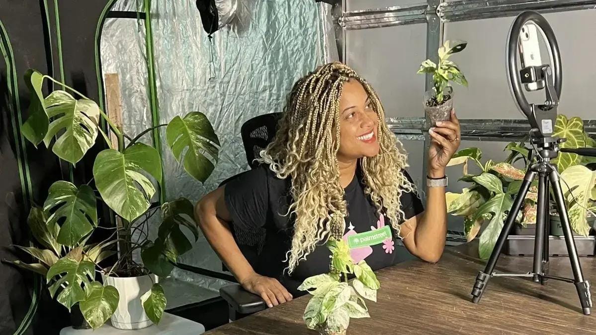 Hobby como negócio online