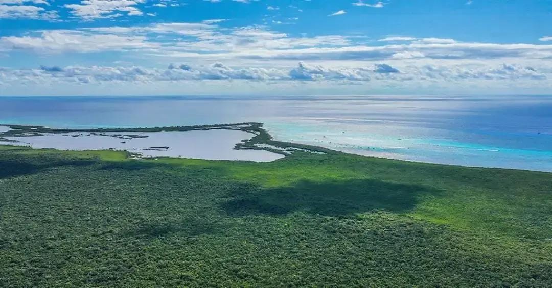 Humanos em florestas tropicais