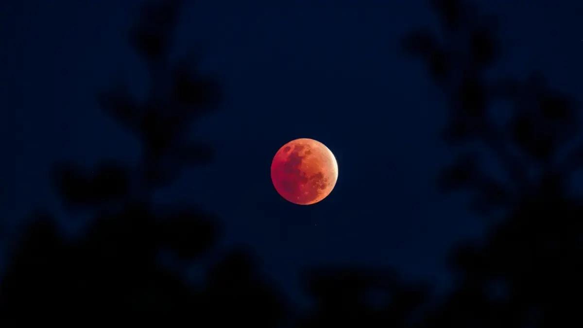 Lua de sangue