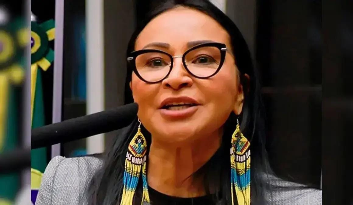Mandato de Silvia Waiãpi