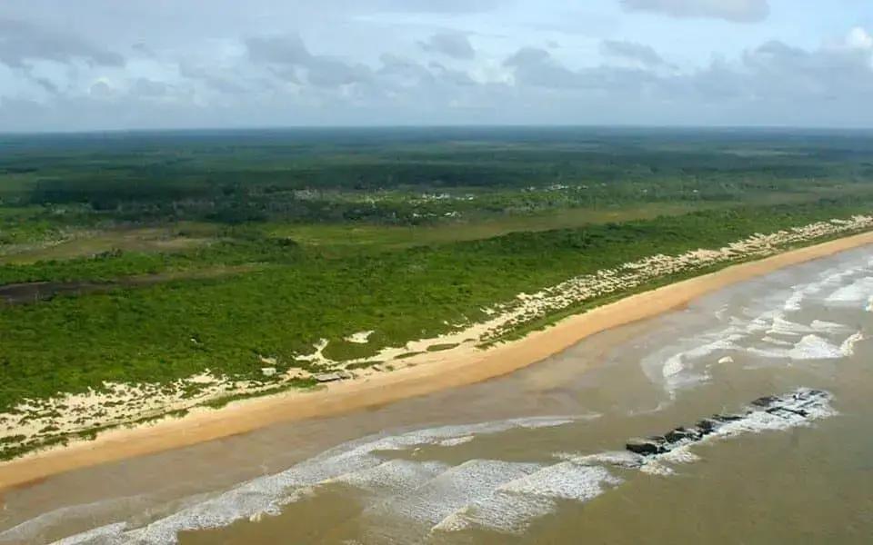 Manifesto contra privatização parques