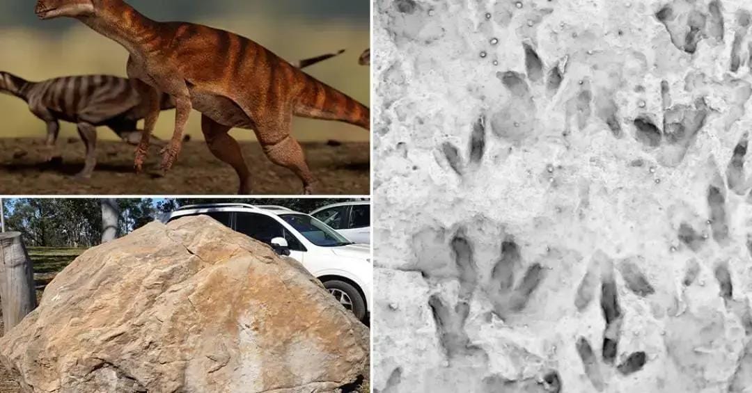 Pegadas de dinossauros na Austrália