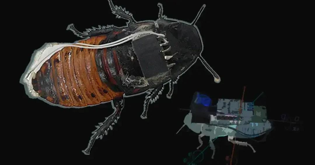 Robótica bio-híbrida