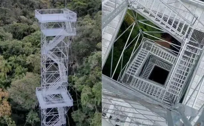 Torre observação Mata Atlântica
