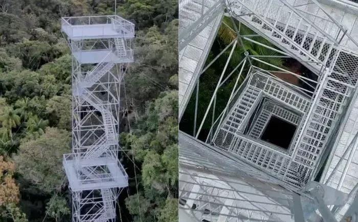 Torre observação Mata Atlântica
