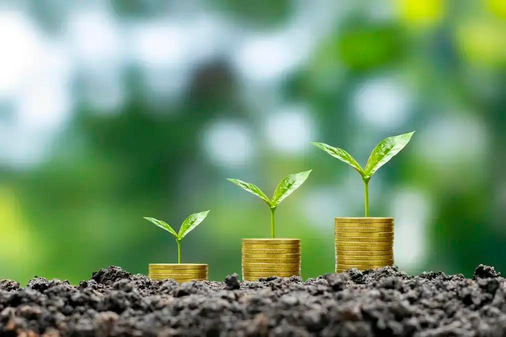 Economia verde brasileira