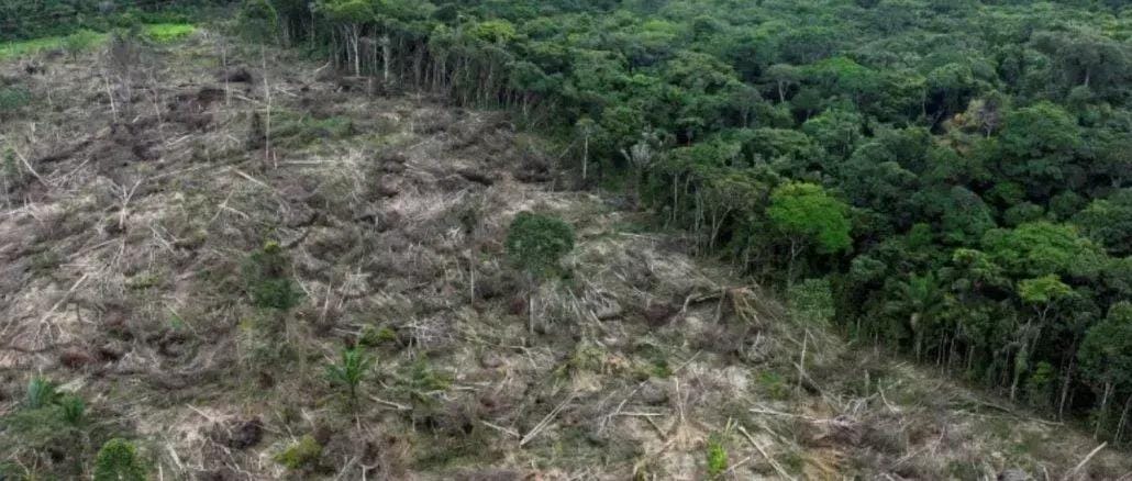 Financiamentos verdes com Eco Invest