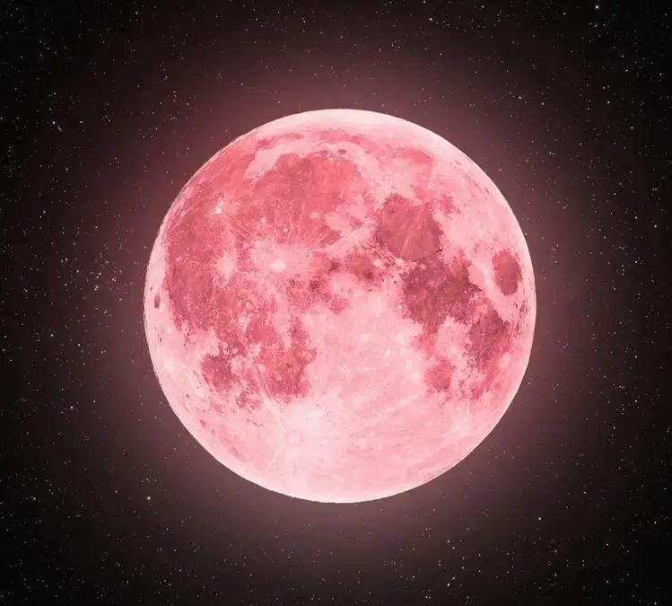 Lua rosa