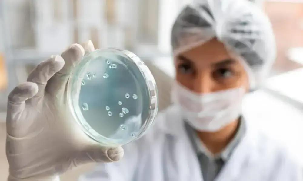 Meningite bacteriana em Domingos Martins