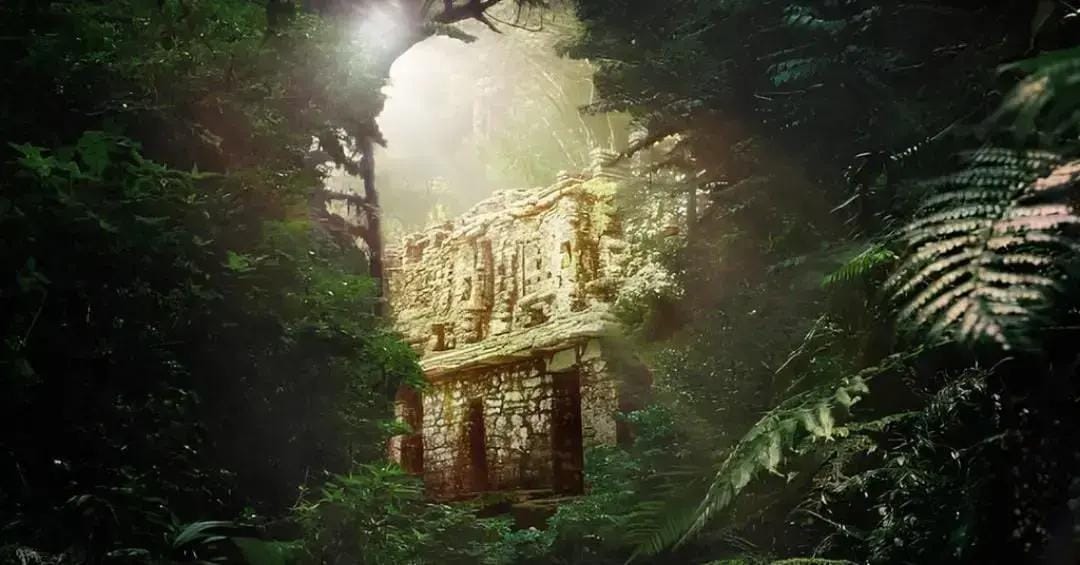 Paraíso perdido na floresta
