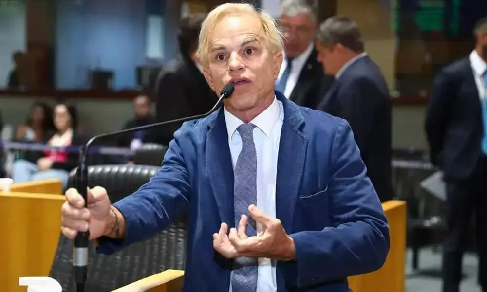 Sergio Meneguelli senador 2026