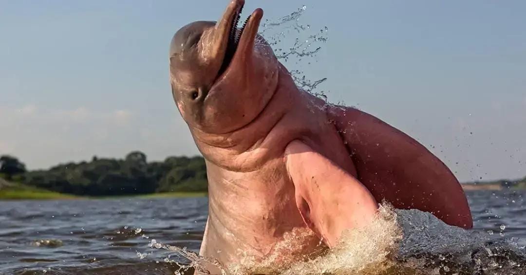 Xixi como meio de poder