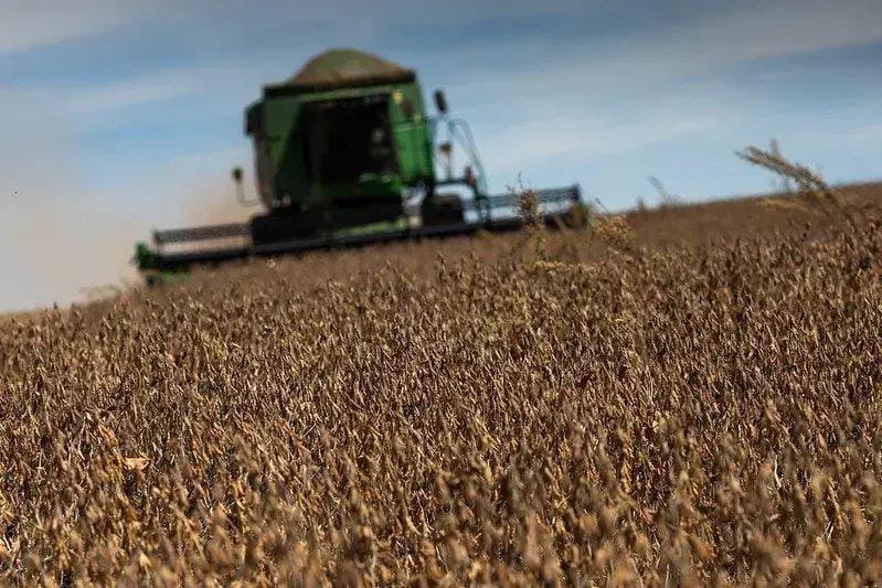Agricultura regenerativa na soja