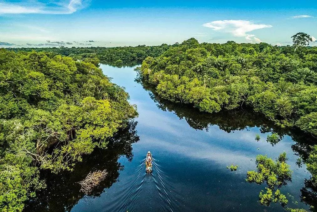 Desmatamento da Amazônia 2024