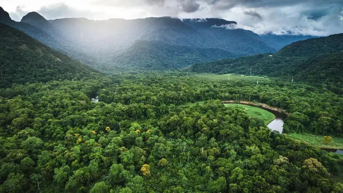 Financiamento BNDES Mata Atlântica