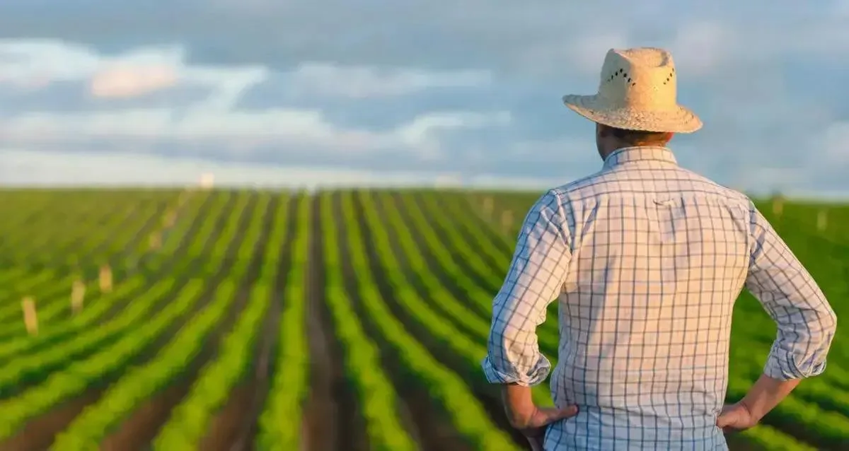 Plano Agrícola e Pecuário