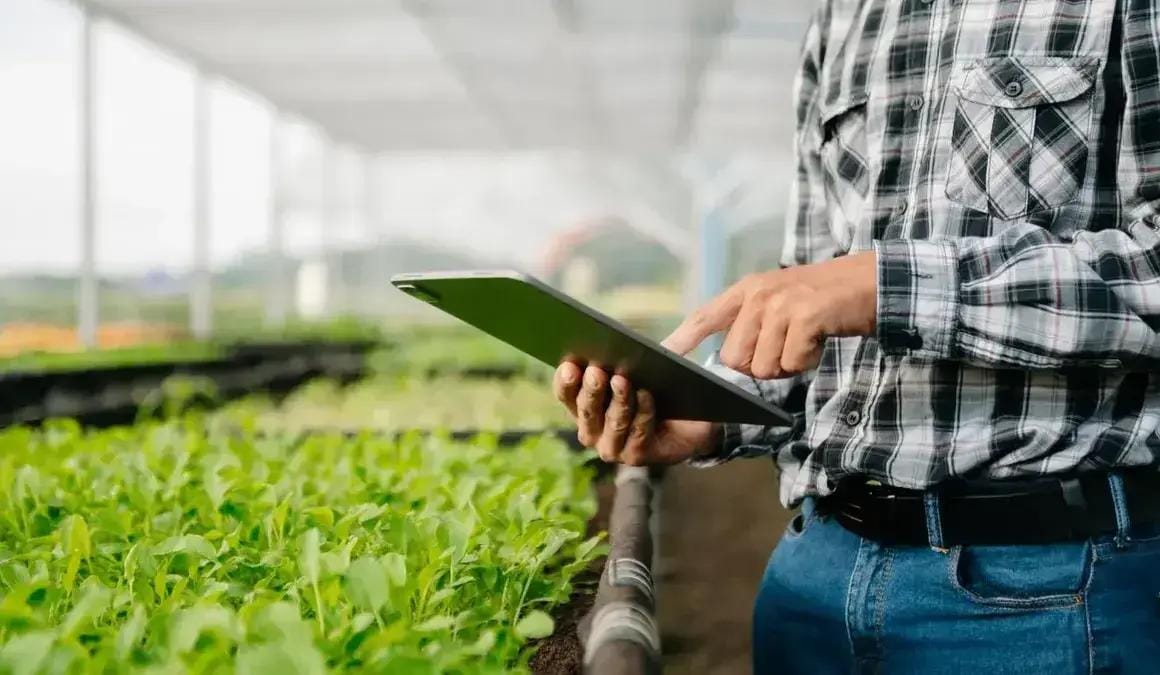 Plataforma Broto para produtores rurais