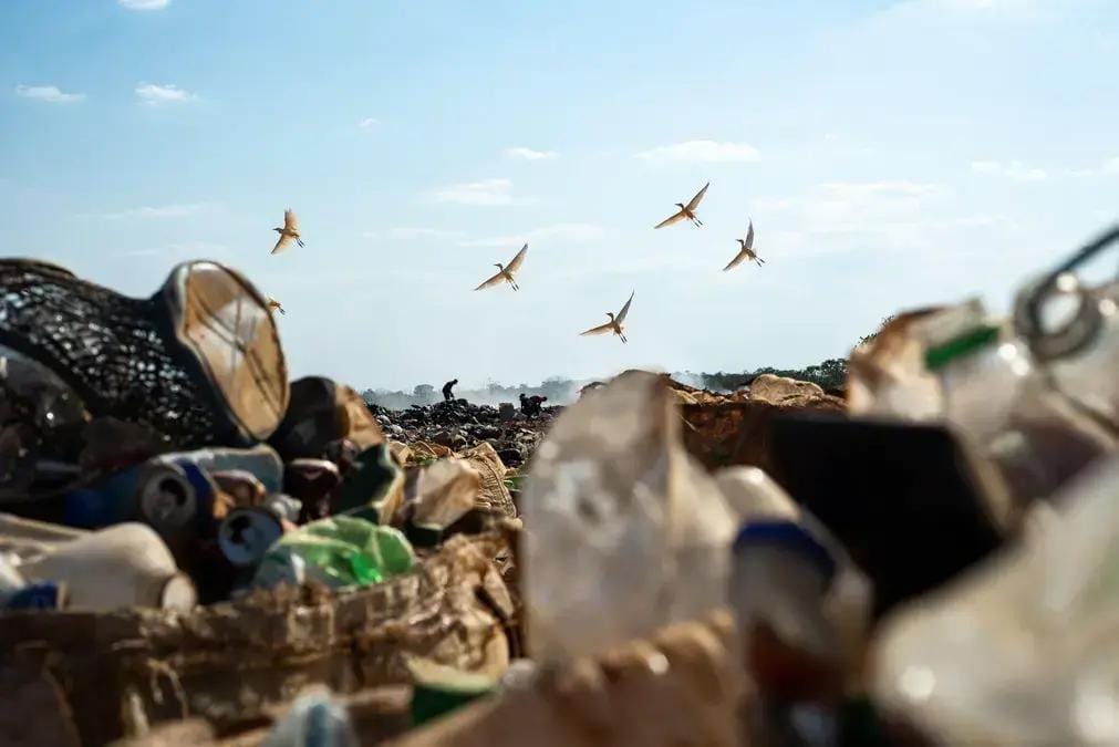 Rastreabilidade de reciclagem
