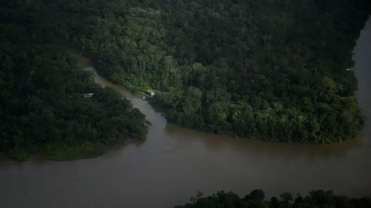 Unidade de conservação no Amapá