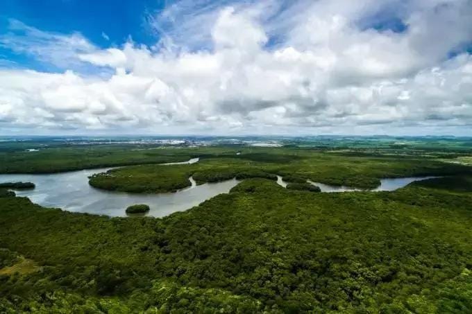 Dia Mundial do Meio Ambiente