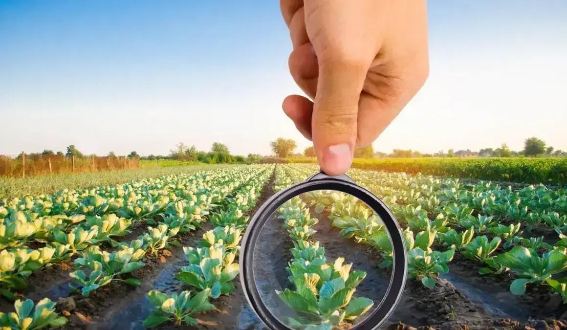 Inovação aberta na agricultura