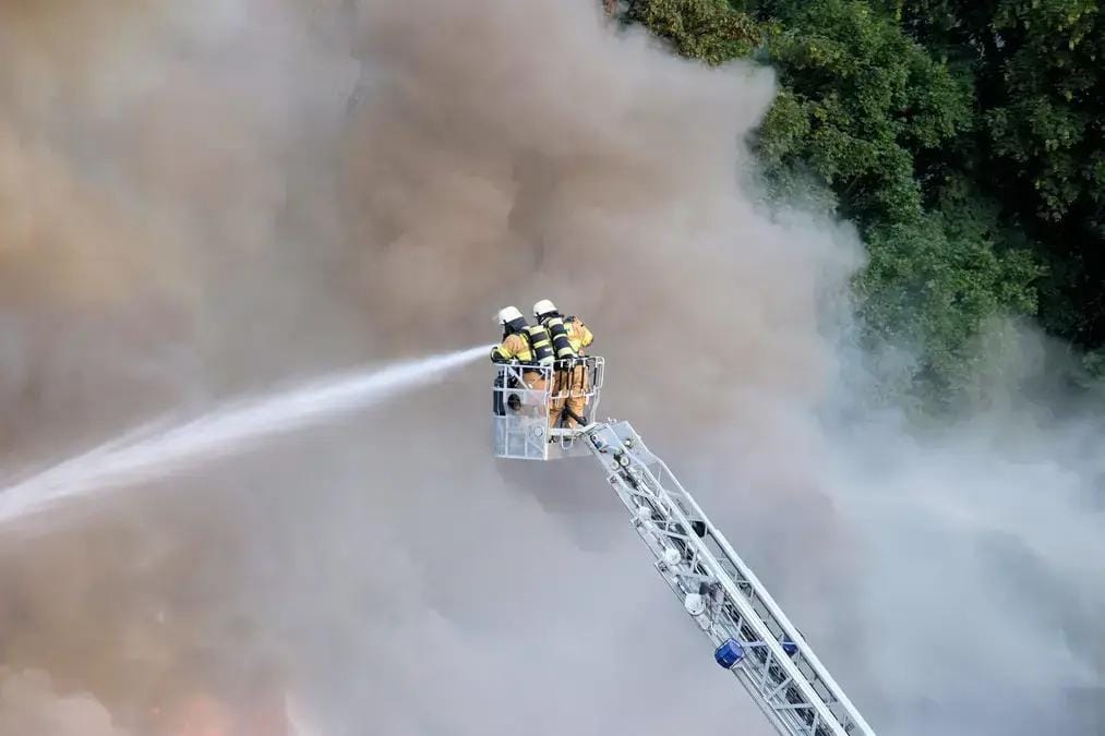Lei combate incêndios florestais