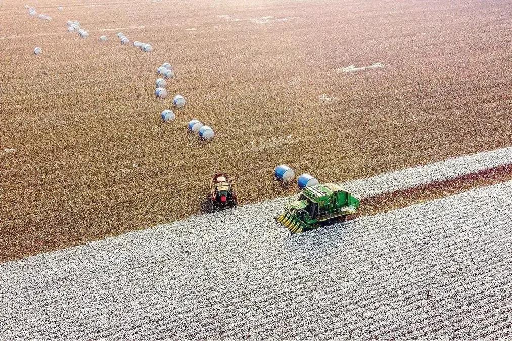 Derivativos agrícolas