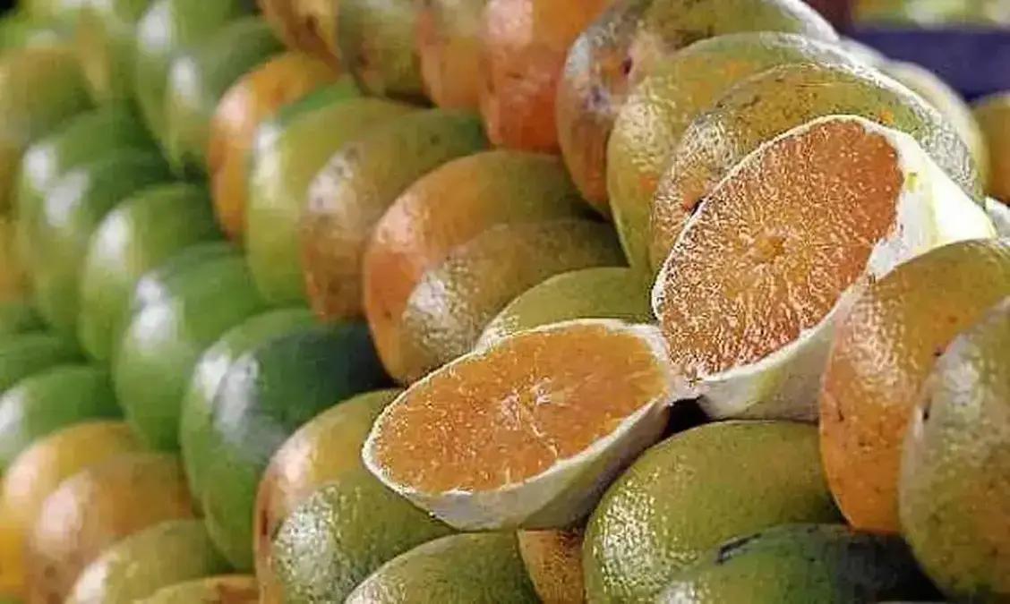 Exceções do tarifaço