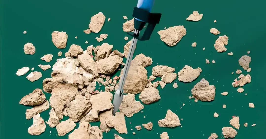 Experiência científica inédita