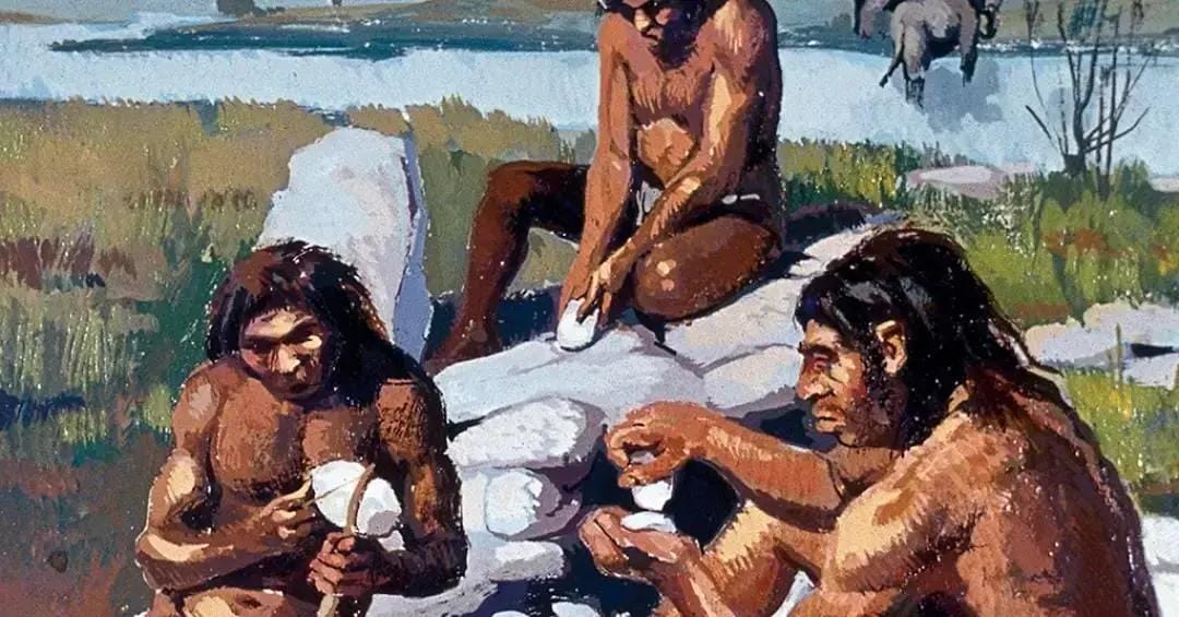 Extração de nutrientes dos ossos