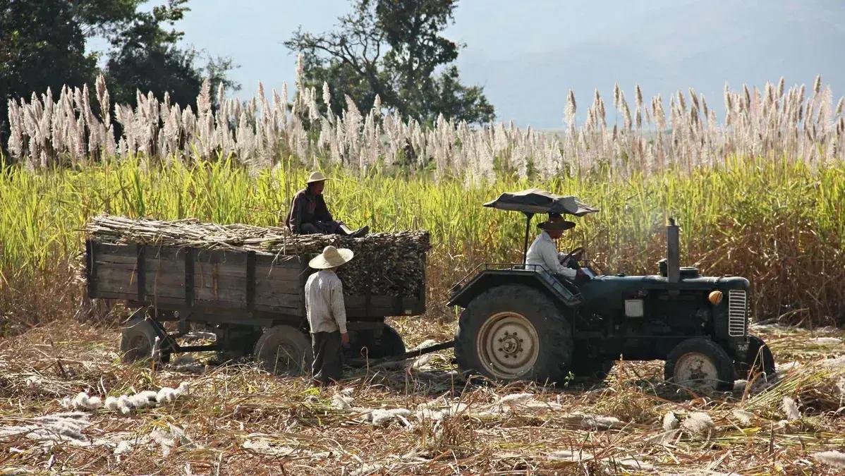 Joint Venture Agro