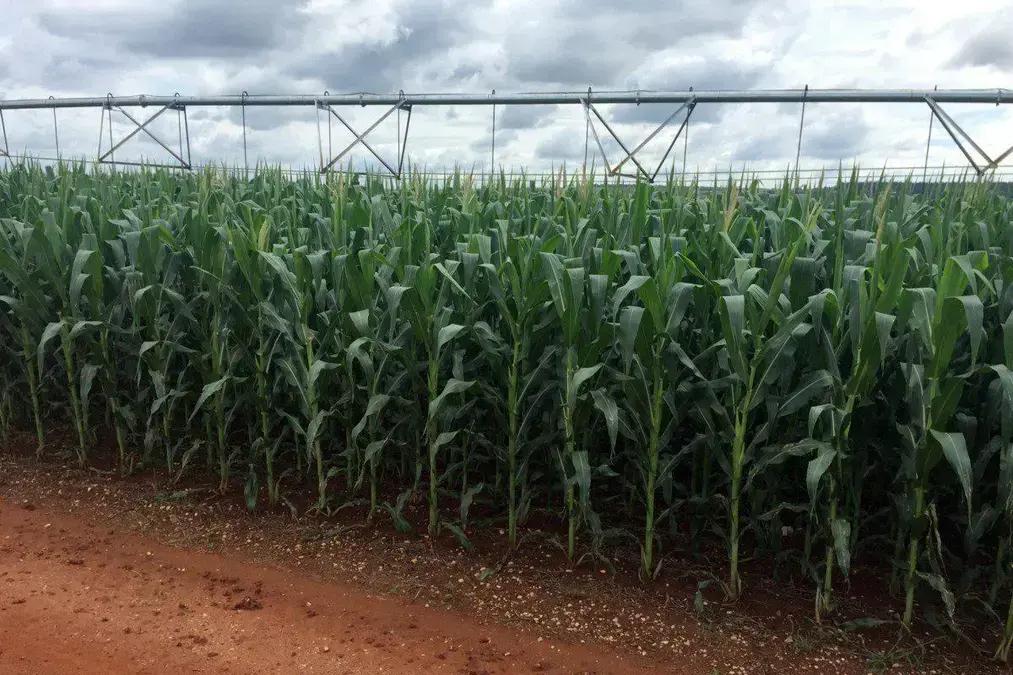 Venda da Agribrasil