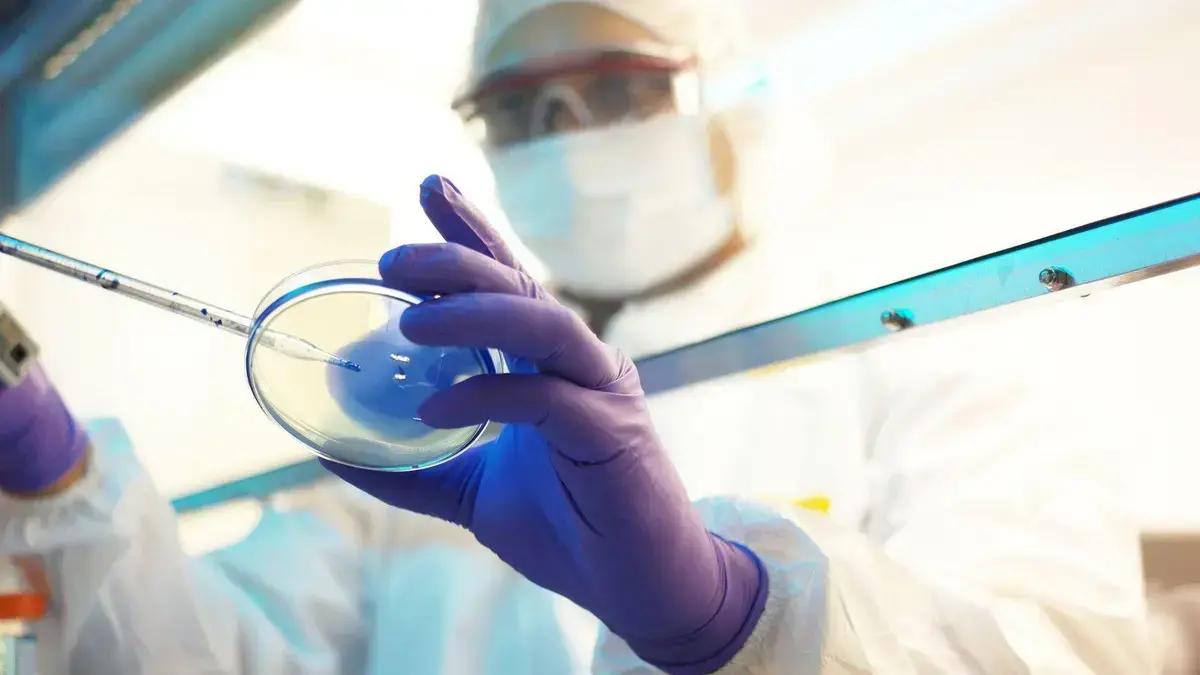 Biotecnologia no cotidiano