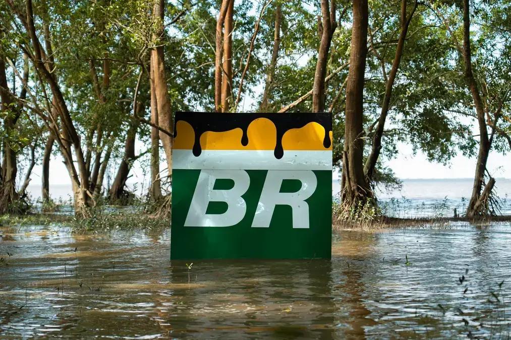BR-319