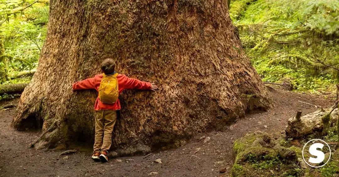 Desconexão entre humanos e natureza