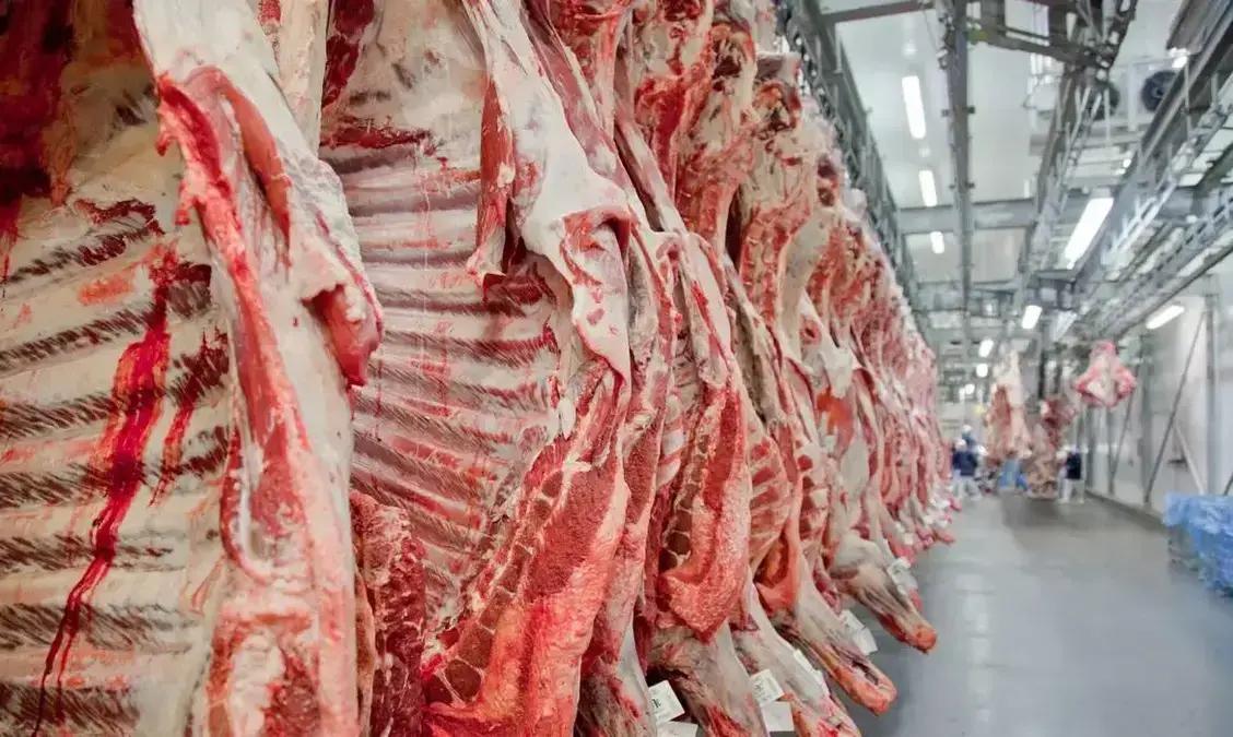 Exportação de carne bovina