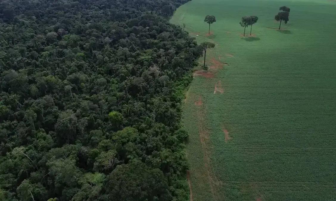 Fundos de investimento sustentável