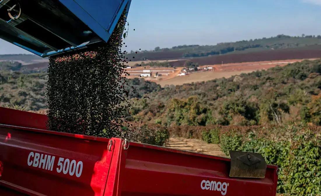 Impacto do tarifaço de Trump