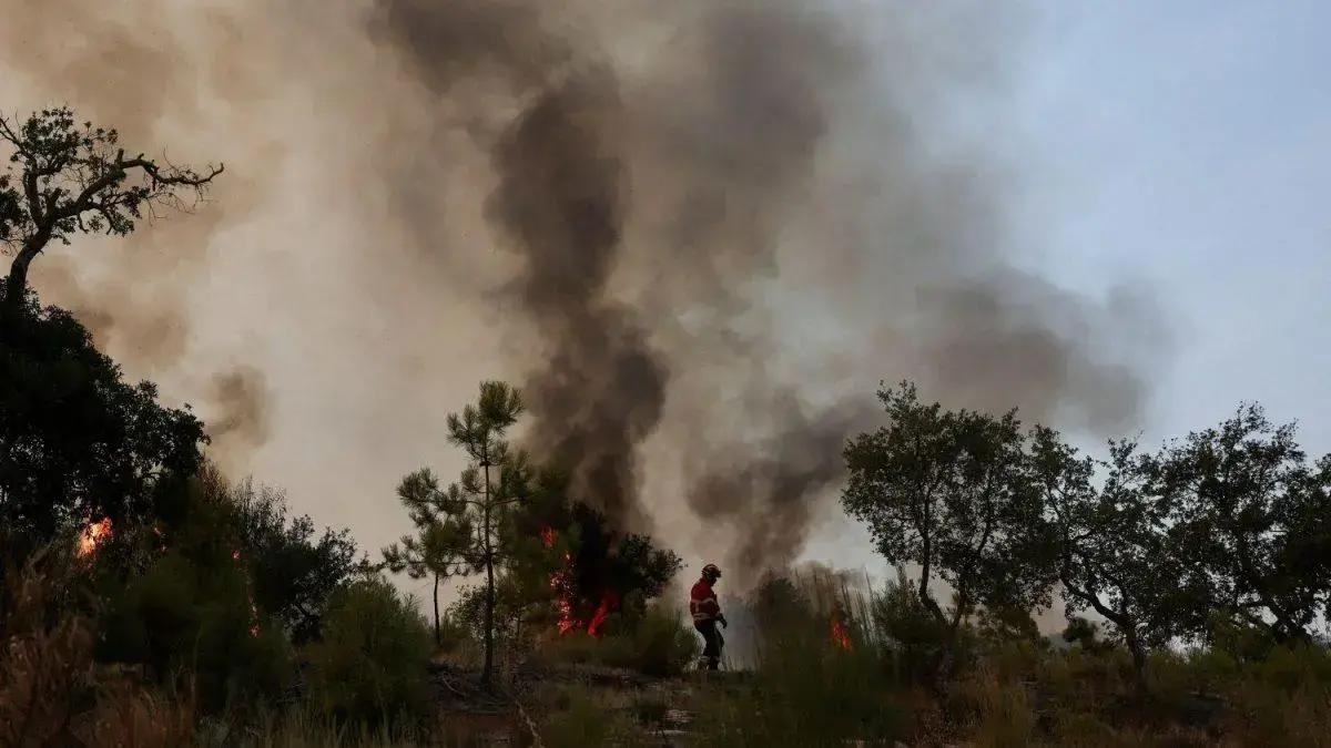 Incêndios florestais na UE