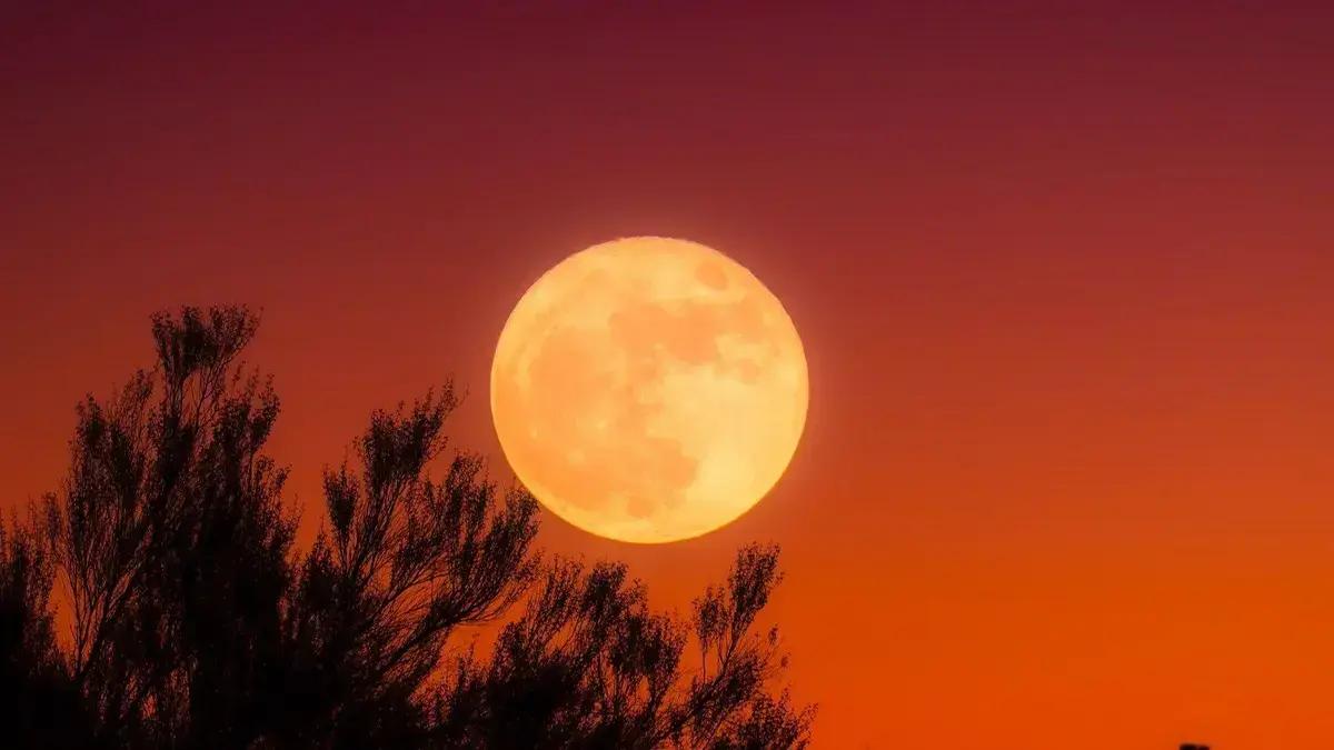 Lua de sangue