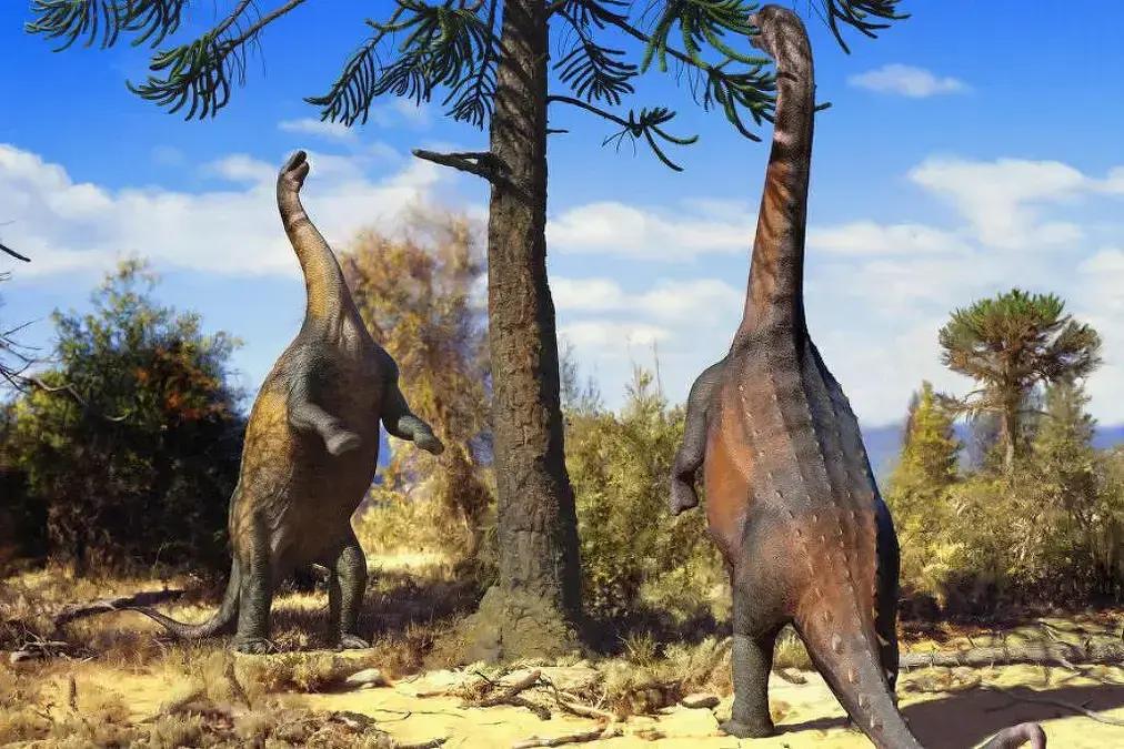 Dinossauro pescoçudo de pé